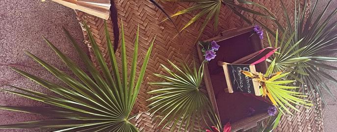 A tropical Mexico retreat setting for the BMB Well Co. women's retreat